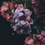 Top 10 Hidden Gem Destinations for 2024